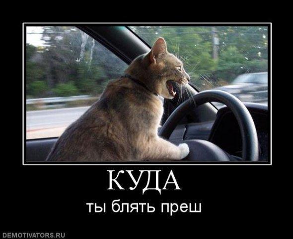http://s.spynet.ru/uploads/images/0/6/8/5/4/5/2011/02/07/76b7fe.jpg