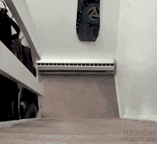 http://s.spynet.ru/uploads/posts/2011/1209/the_definitive_collection_of_cat_19.gif
