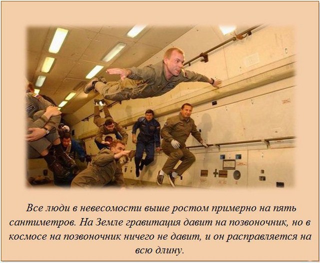 http://s.spynet.ru/uploads/posts/2012/0220/fakti_18.jpg