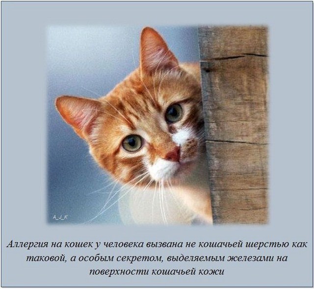 http://s.spynet.ru/uploads/posts/2012/0229/fakti_28.jpg