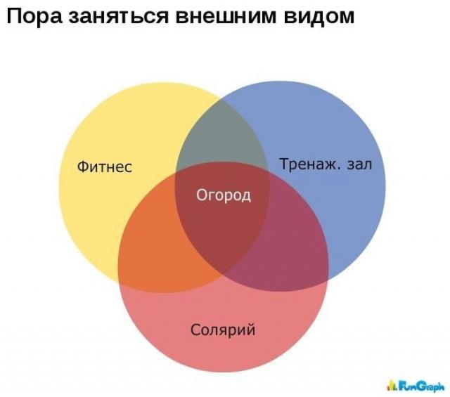 http://s.spynet.ru/tru/pics5/20121102/grafik_01.jpg