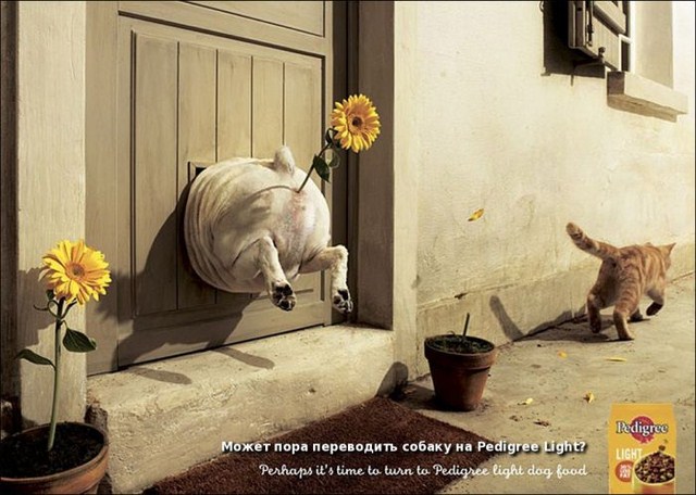 http://s.spynet.ru/uploads/posts/2012/0203/creative_advert_print_37.jpg